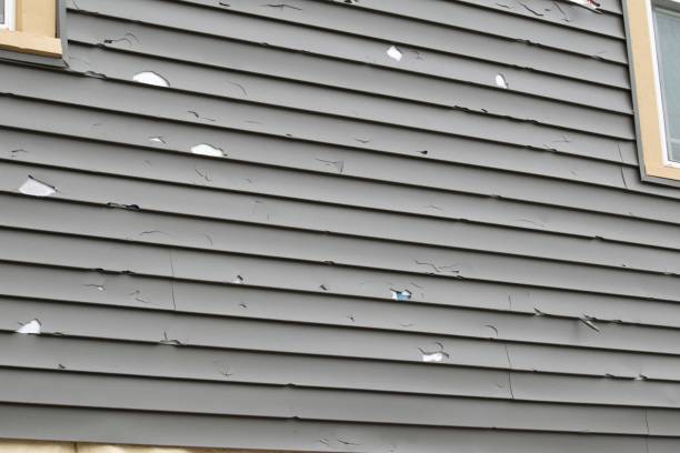 Best Siding Painting and Refinishing  in Dallas, TX