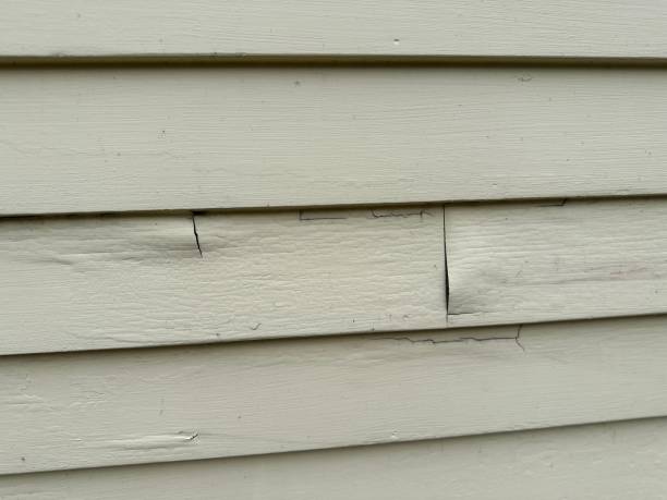 Professional Siding Installation in Dallas, TX